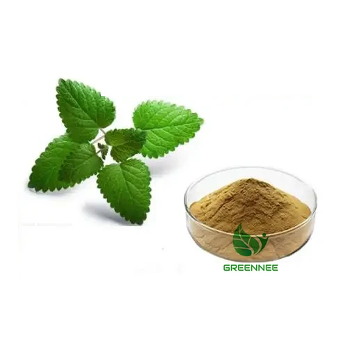 Extrato de Melissa Officinalis Total de Isoflavonas 5%