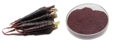 Pó de extrato de cenoura preta
