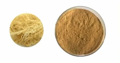 Gelidium Amansii Lamouroux Extrato de ágar em pó